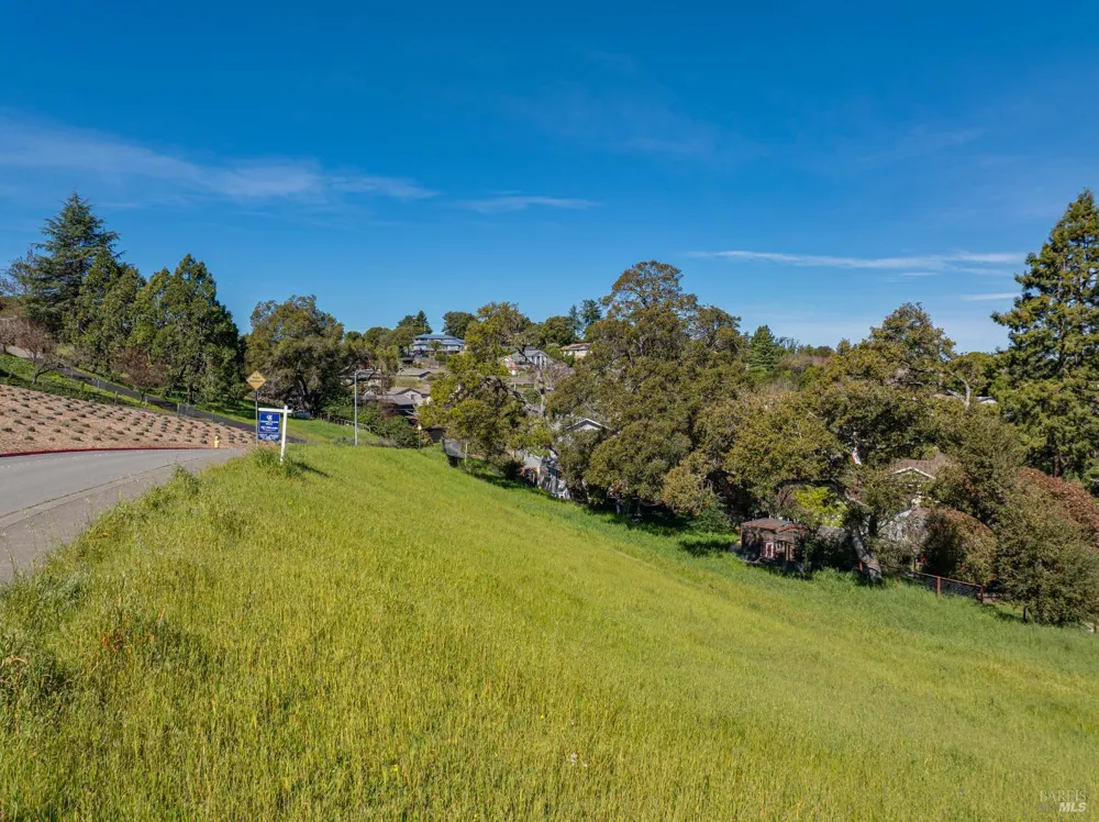 513 Larch Drive Petaluma, CA 94952