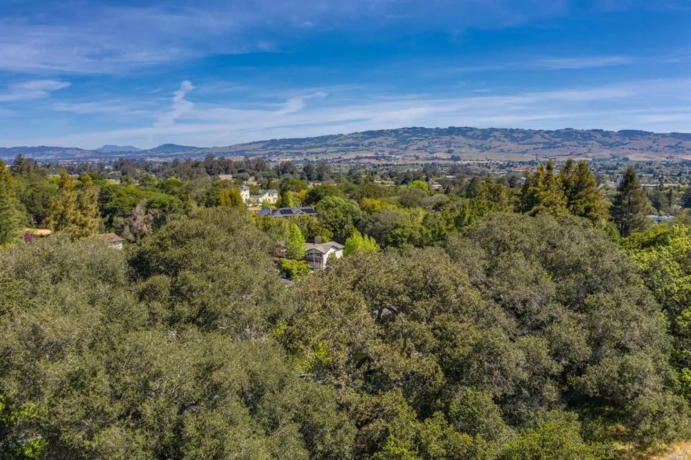 513 Larch Drive Petaluma, CA 94952