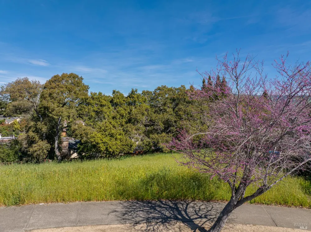 513 Larch Drive Petaluma, CA 94952