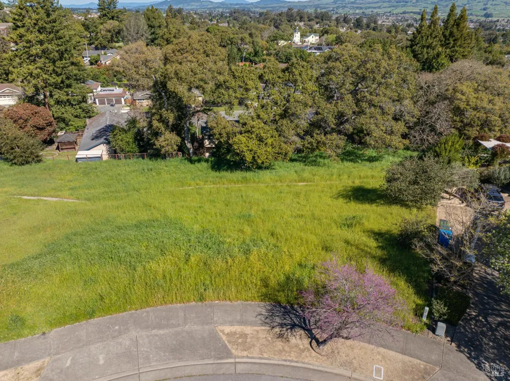 513 Larch Drive Petaluma, CA 94952