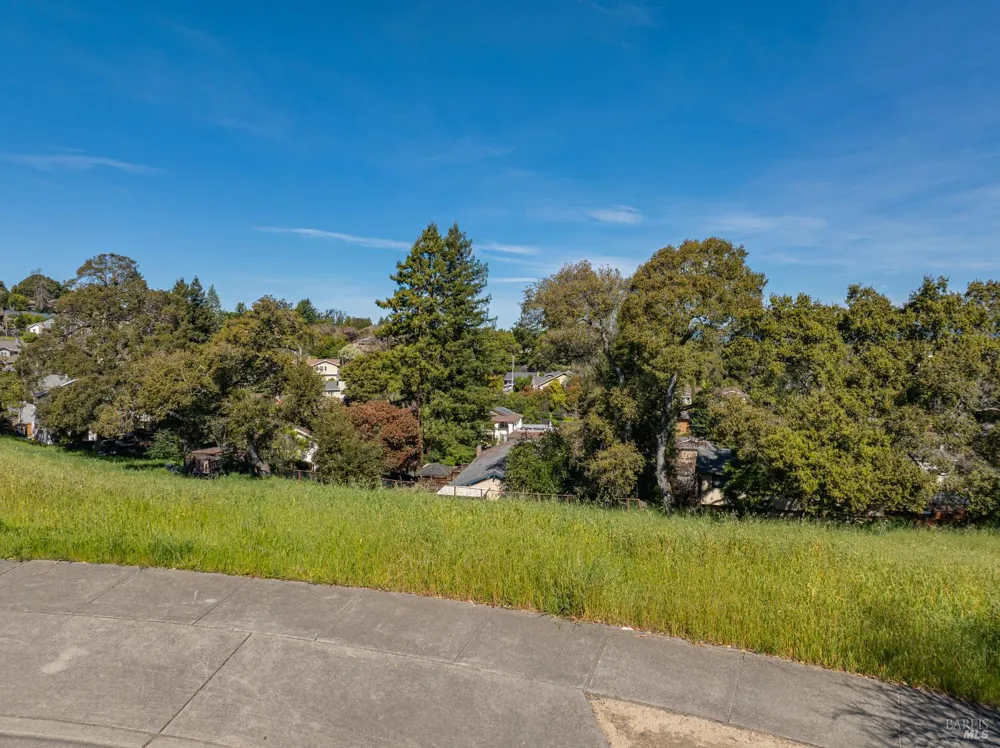 513 Larch Drive Petaluma, CA 94952