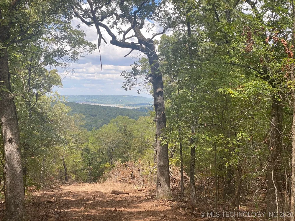 20544 S Chicken Creek Road Cookson, OK 74427