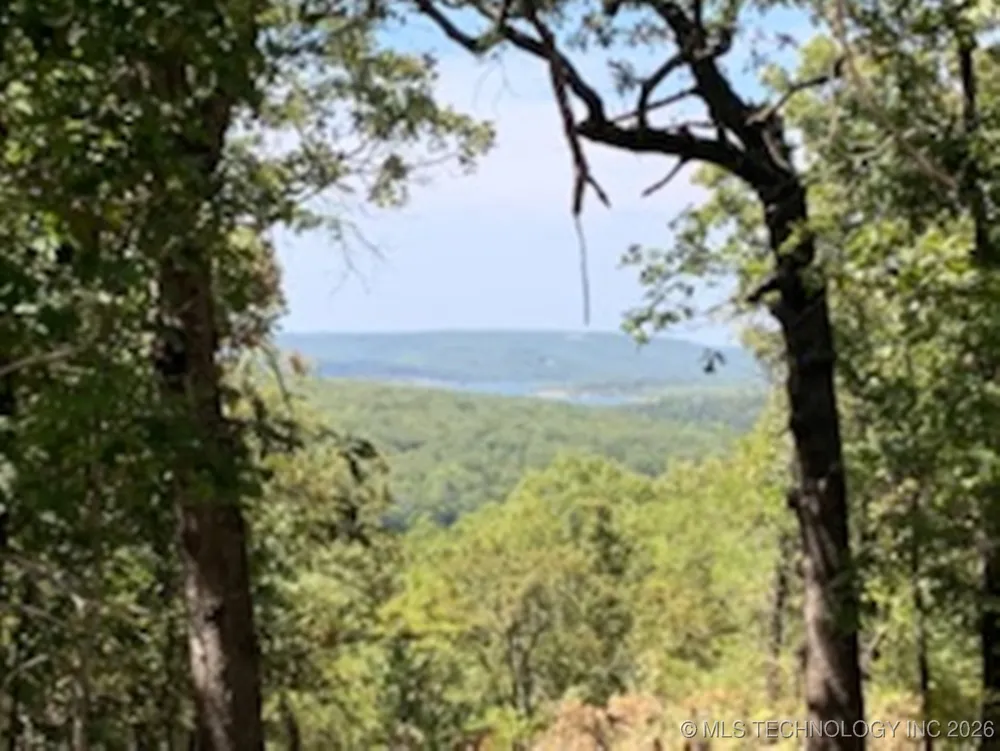 20544 S Chicken Creek Road Cookson, OK 74427