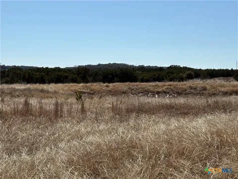 Monarch Loop (Shin Oak)