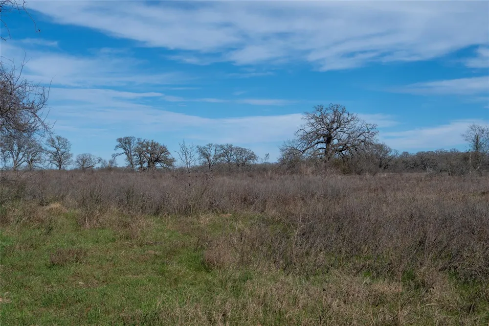 Hwy 14 Groesbeck, TX 76642