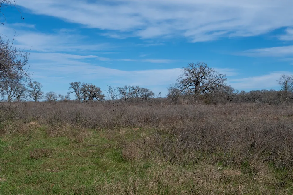 Highway 14 Groesbeck, TX 76642
