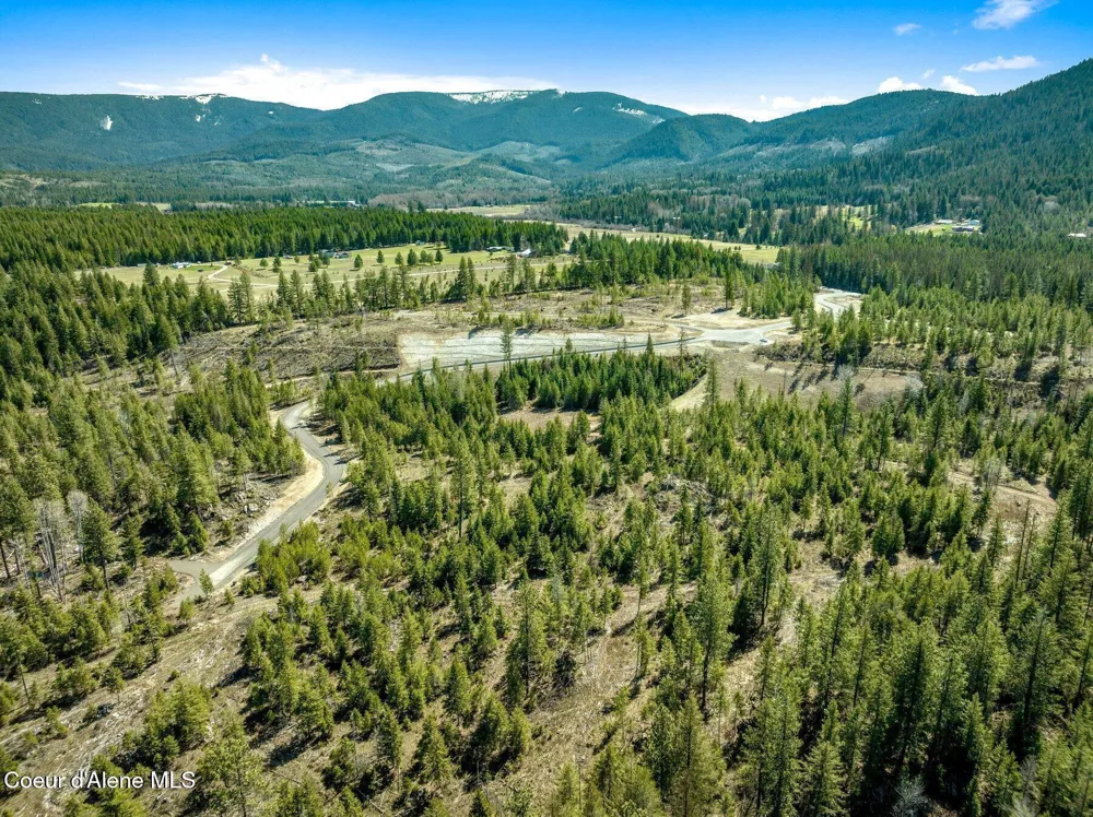 NKA Dickens Rd (Lot 3) Athol, ID 83801