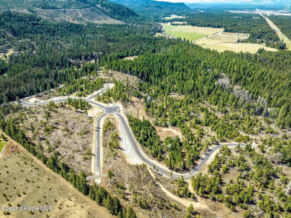 NKA Dickens Rd (Lot 3) Athol, ID 83801