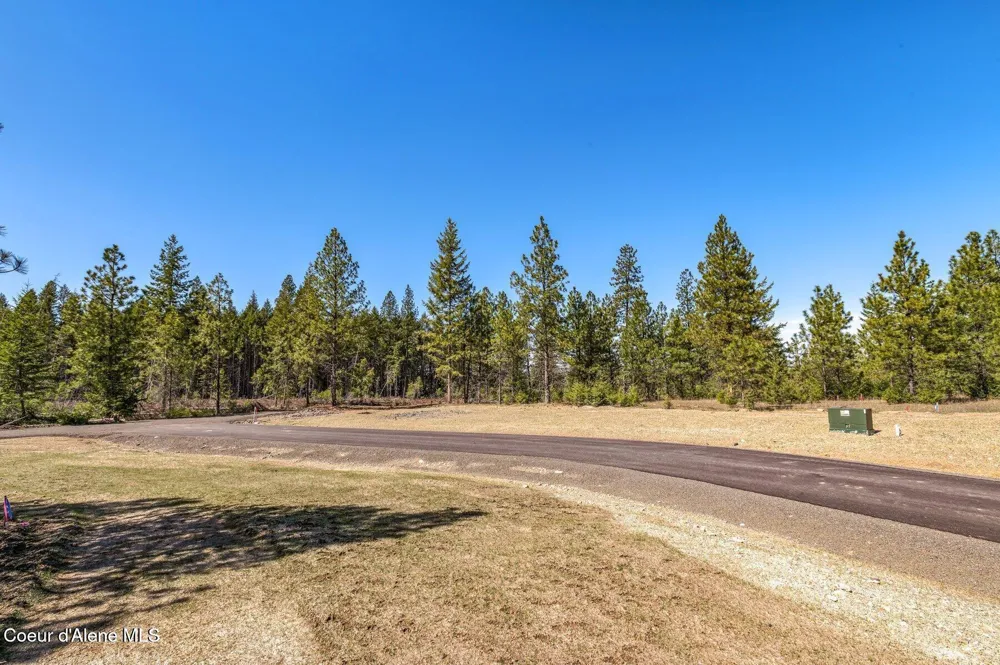 NKA Dickens Rd (Lot 3) Athol, ID 83801