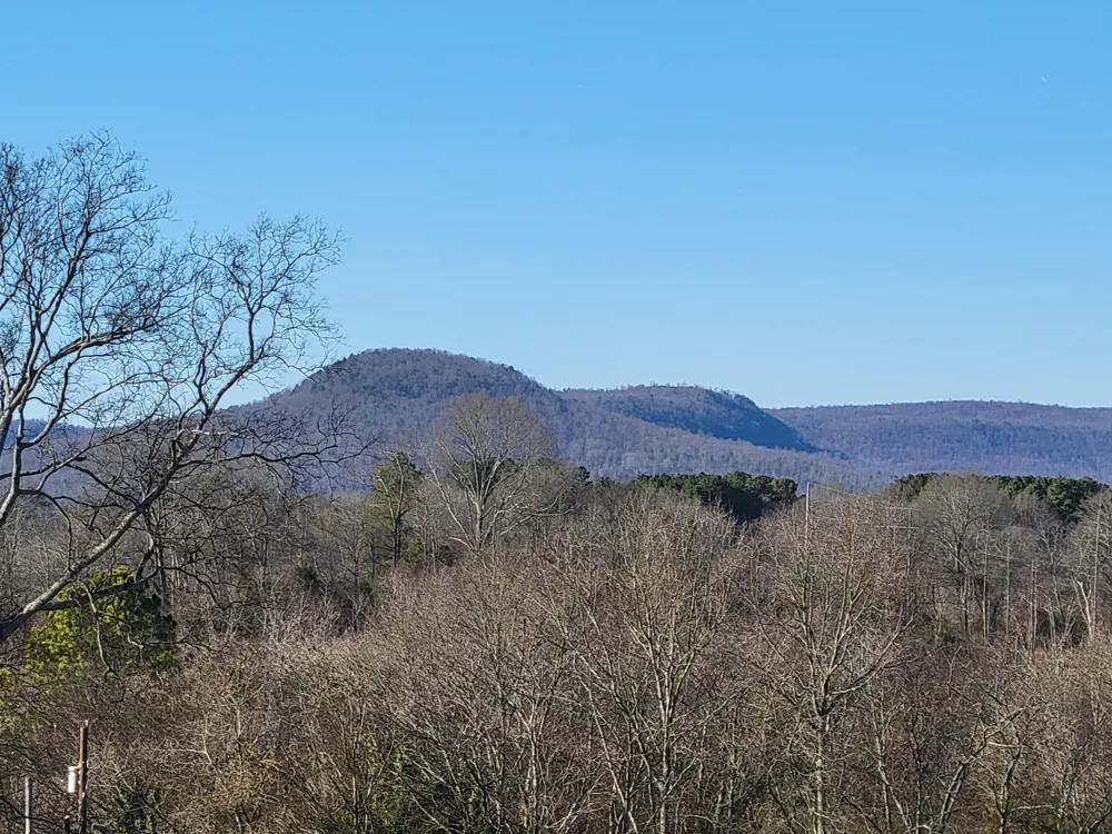 408 Nellis Avenue Bridgeport, AL 35740