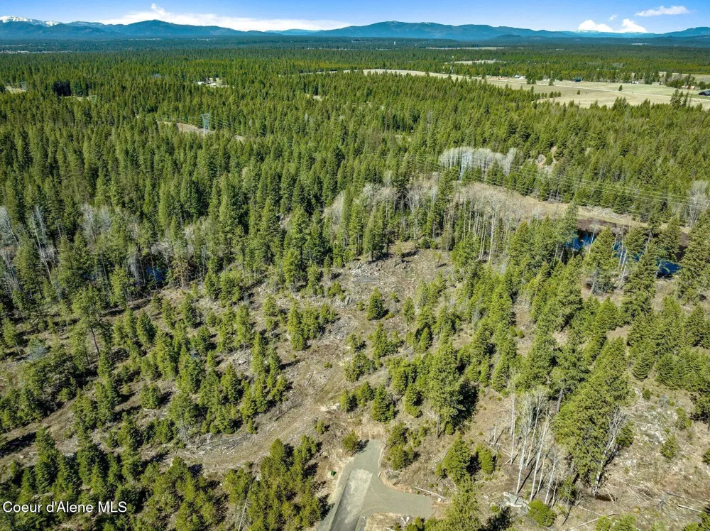 NKA Dickens Rd (Lot4) Athol, ID 83801