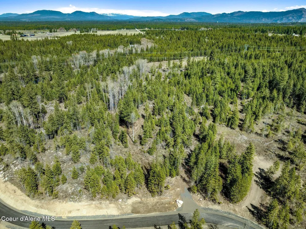 NKA Dickens Rd (Lot4) Athol, ID 83801