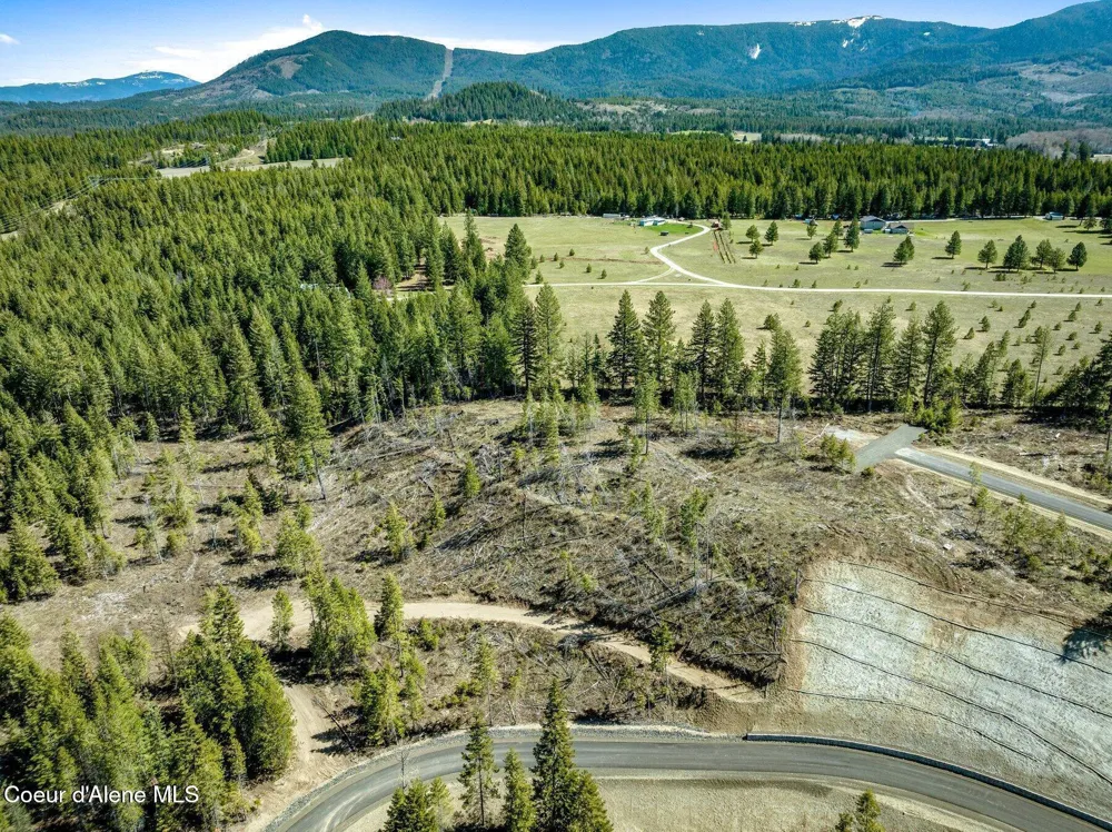 NKA Dickens Rd (Lot4) Athol, ID 83801