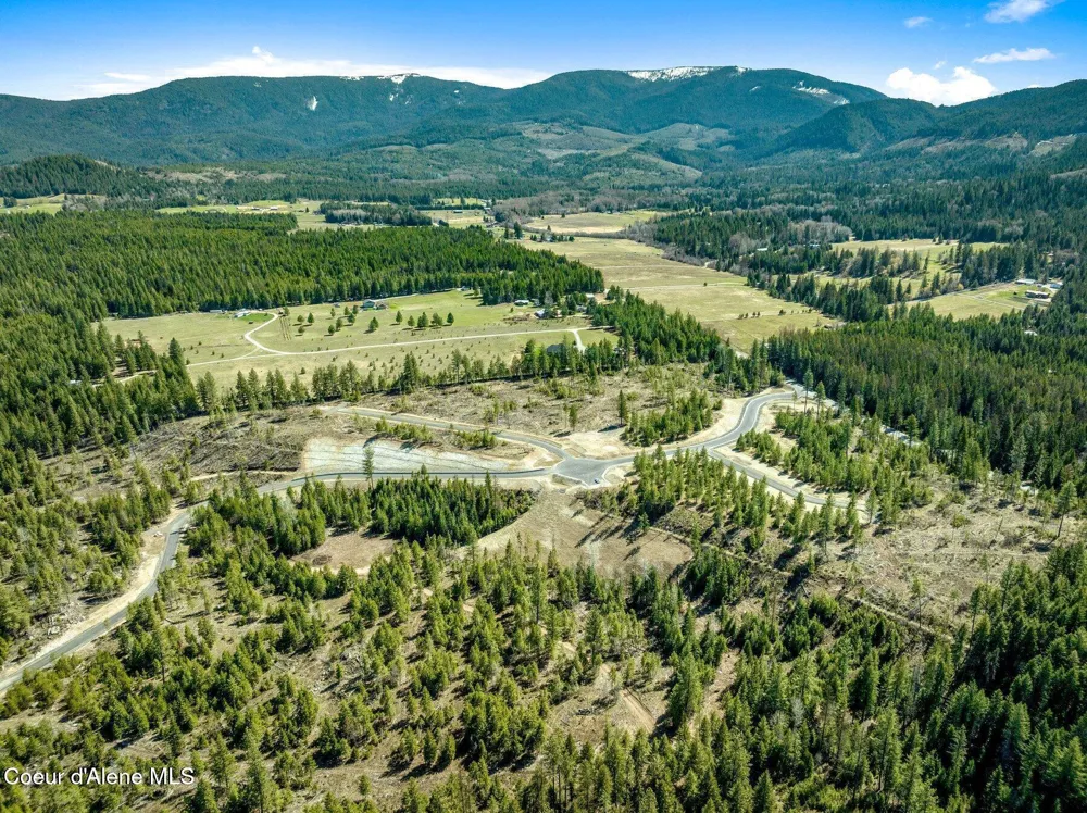 NKA Dickens Rd (Lot4) Athol, ID 83801