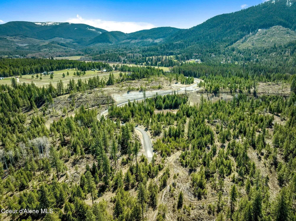 NKA Dickens Rd (Lot4) Athol, ID 83801