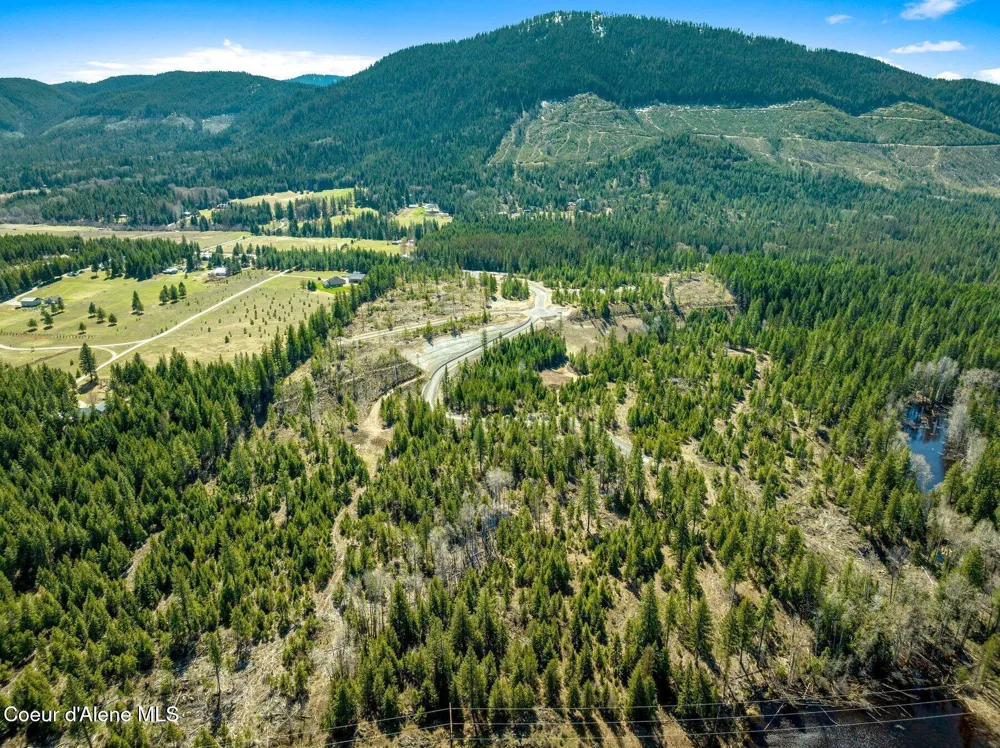 NKA Dickens Rd (Lot4) Athol, ID 83801
