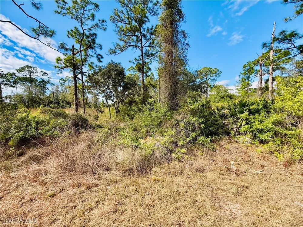 Truman Avenue Alva, FL 33920