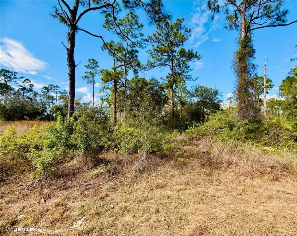 Truman Avenue Alva, FL 33920