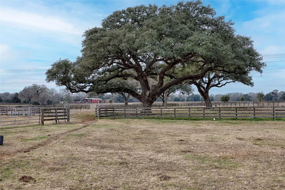 66 County Road 77D Schulenburg, TX 78956