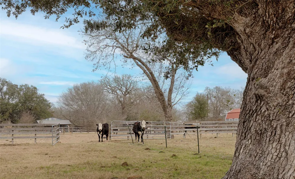 66 County Road 77D Schulenburg, TX 78956