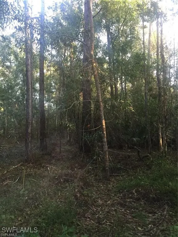 28th Avenue SE Naples, FL 34117