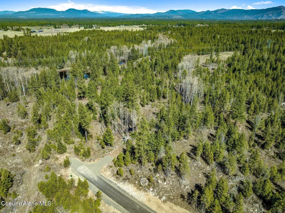 NKA Dickens Rd (Lot 5) Athol, ID 83801