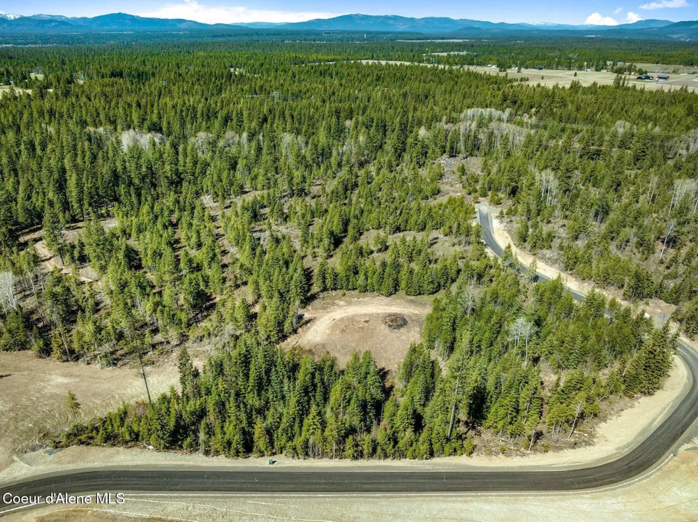 NKA Dickens Rd (Lot 5) Athol, ID 83801