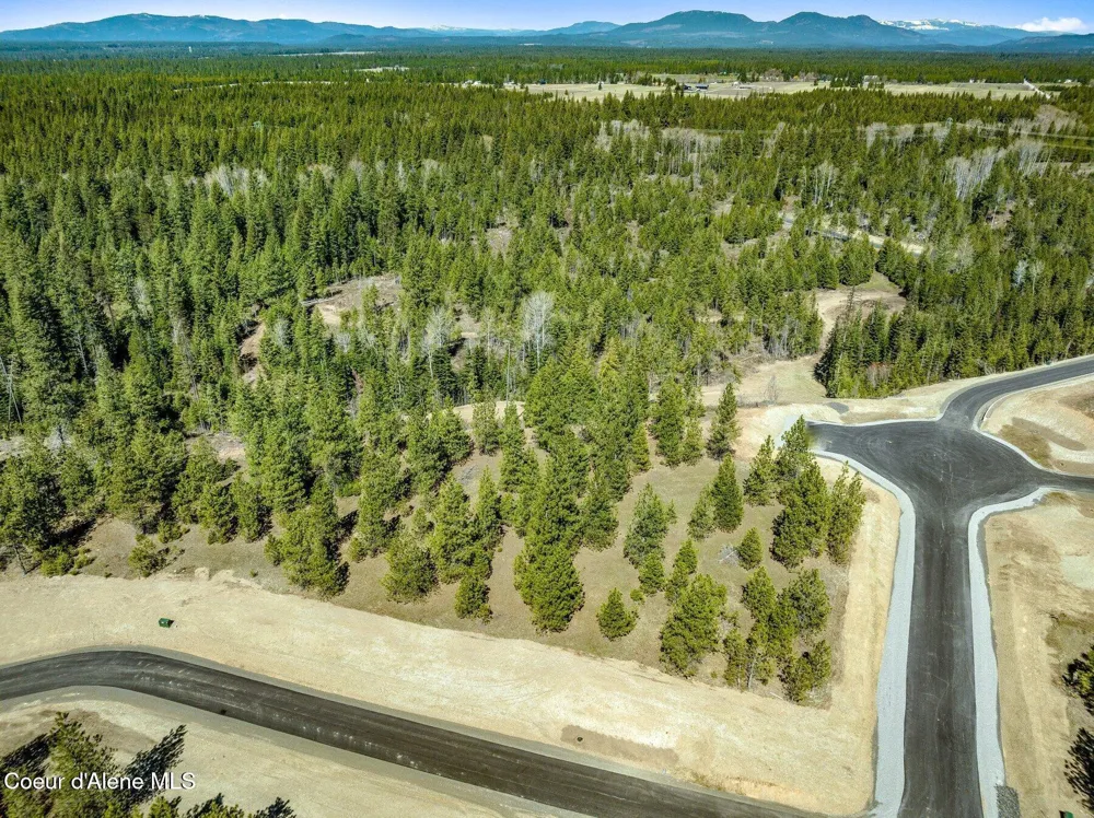 NKA Dickens Rd (Lot 5) Athol, ID 83801