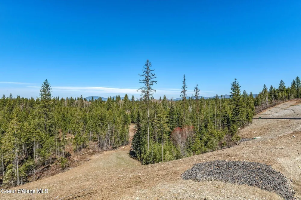 NKA Dickens Rd (Lot 5) Athol, ID 83801