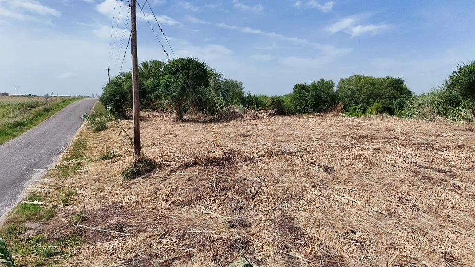 2728 CR  3265 Taft, TX 78390
