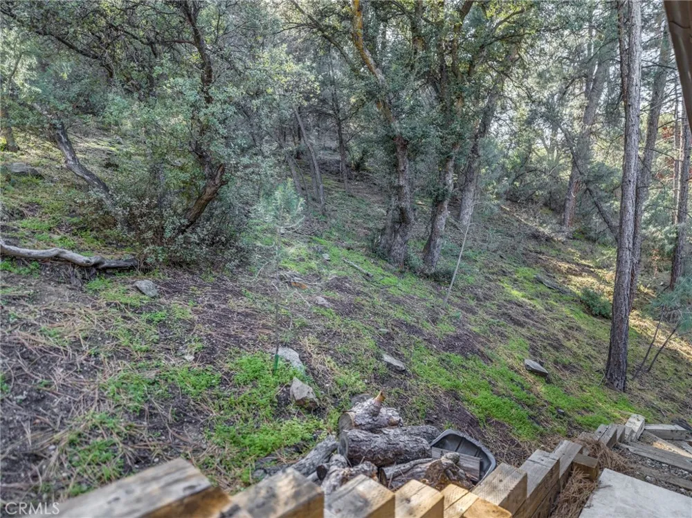 15916 Zurich Way Pine Mountain Club, CA 93222