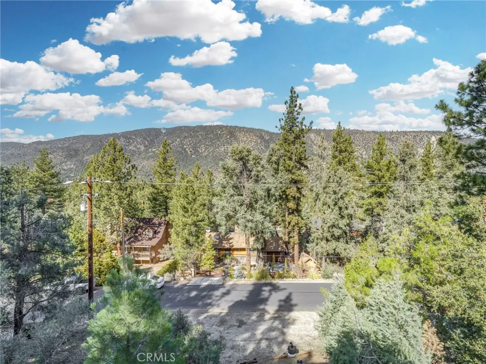 15916 Zurich Way Pine Mountain Club, CA 93222
