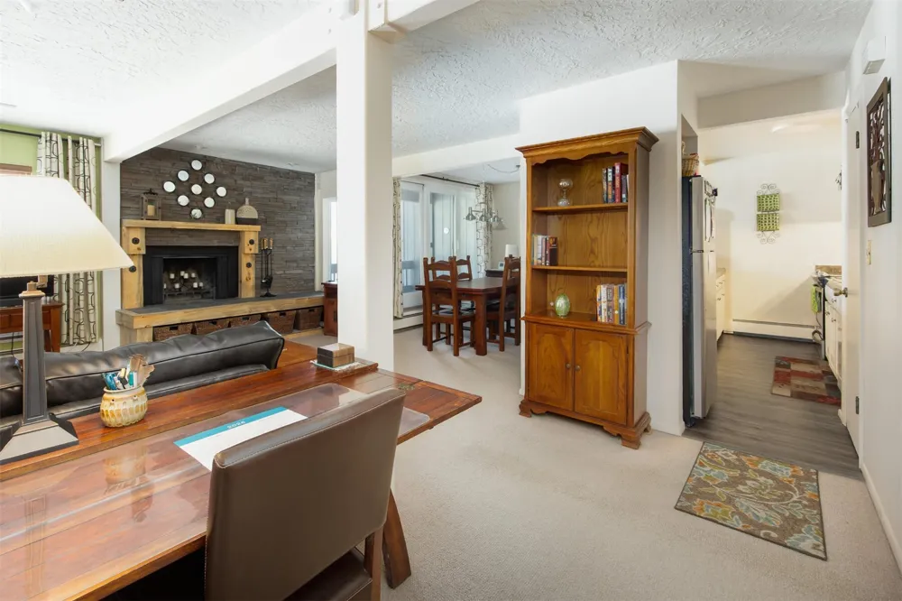 101 Ryan Gulch Court #103 Wildernest, CO 80498
