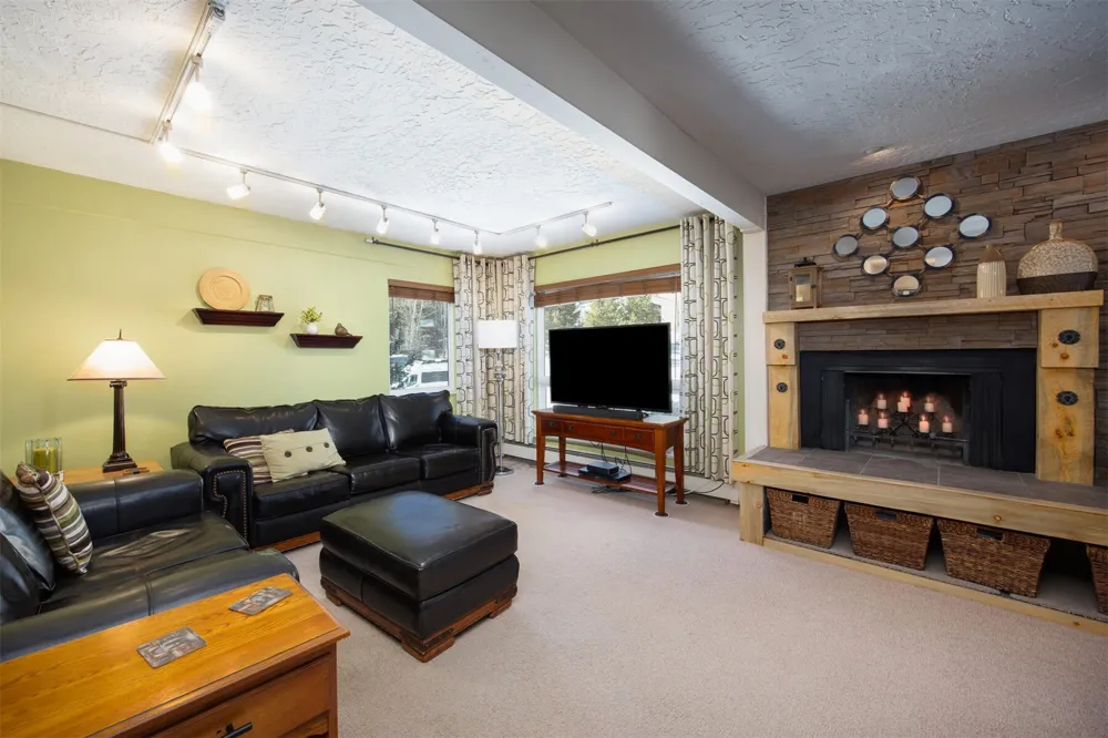 101 Ryan Gulch Court #103 Wildernest, CO 80498