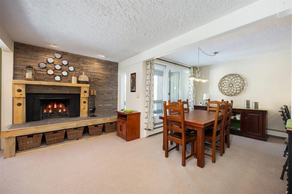 101 Ryan Gulch Court #103 Wildernest, CO 80498