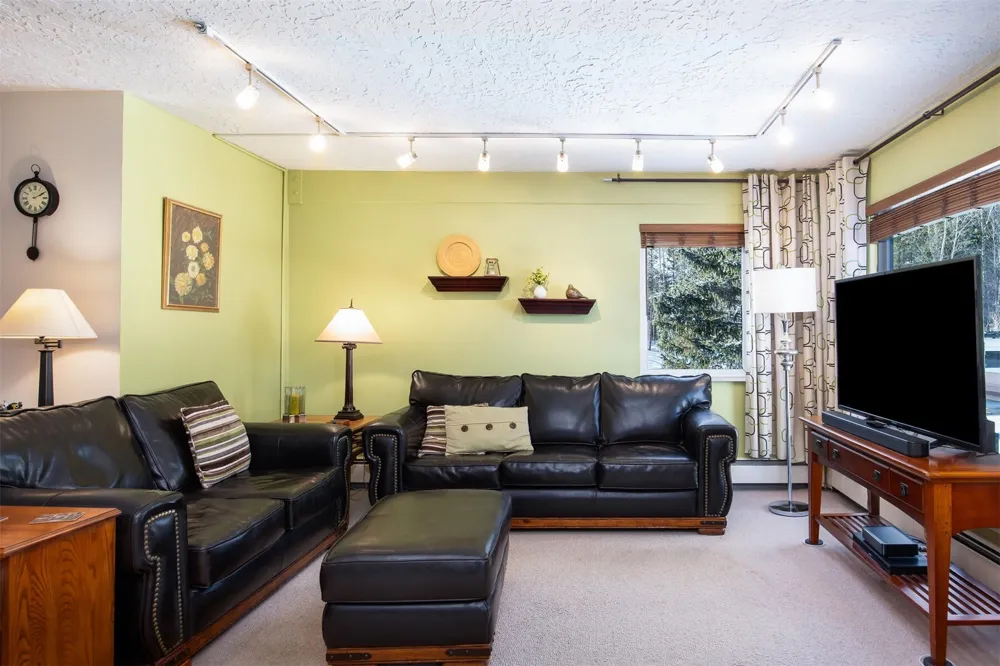 101 Ryan Gulch Court #103 Wildernest, CO 80498