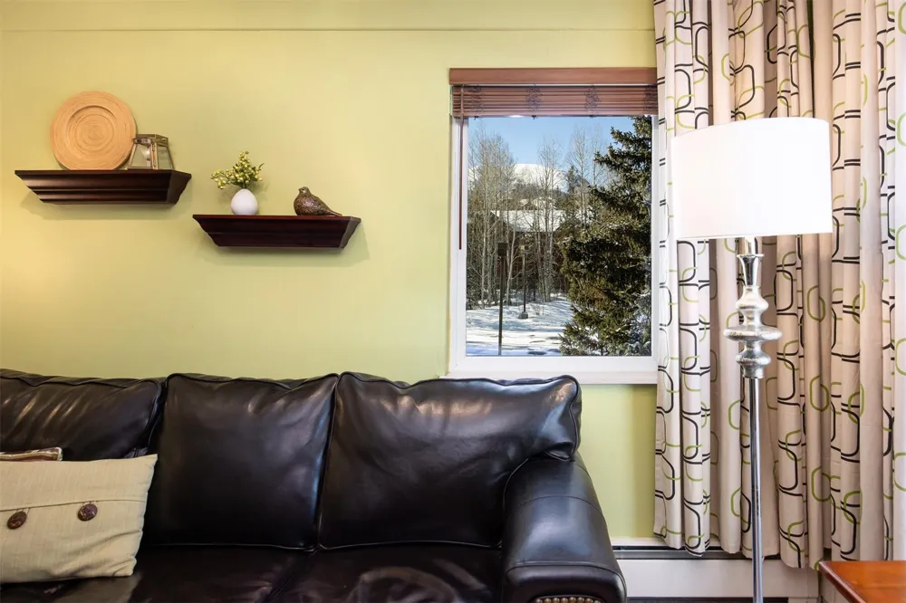101 Ryan Gulch Court #103 Wildernest, CO 80498