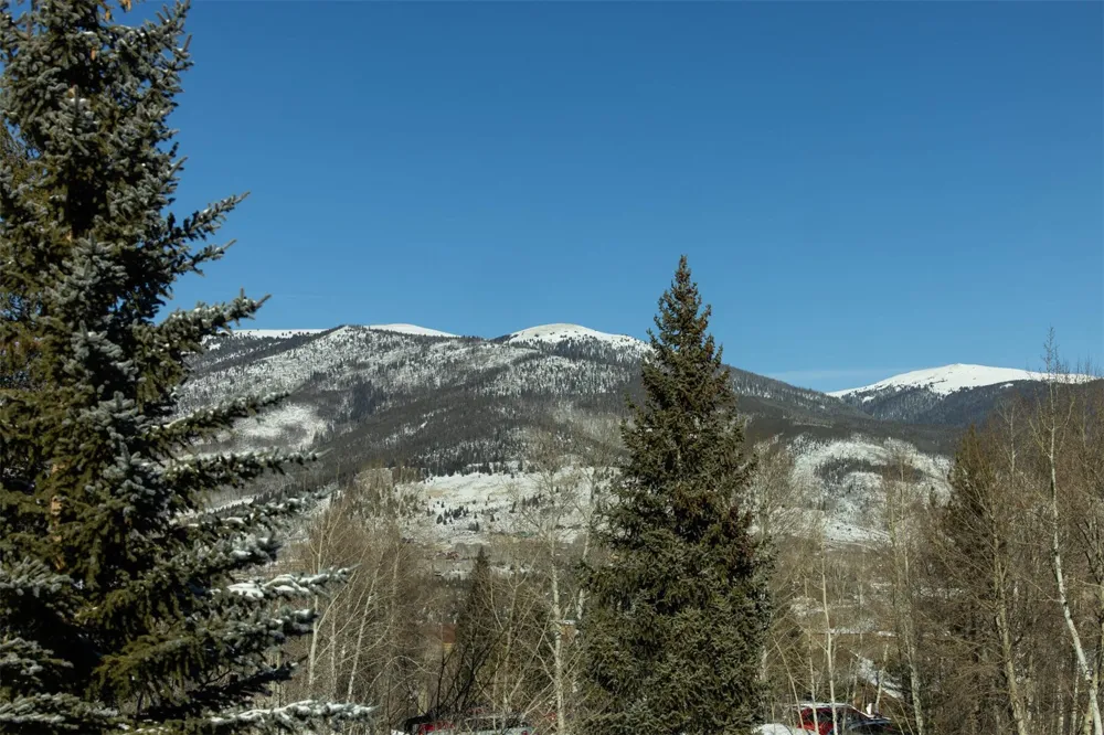 101 Ryan Gulch Court #103 Wildernest, CO 80498