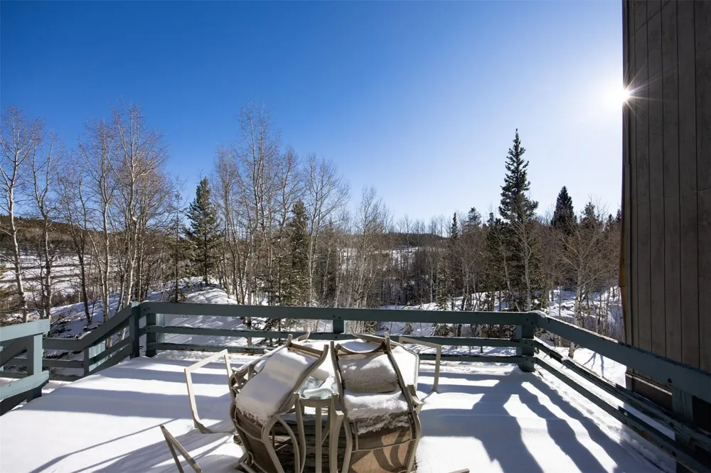 101 Ryan Gulch Court #103 Wildernest, CO 80498