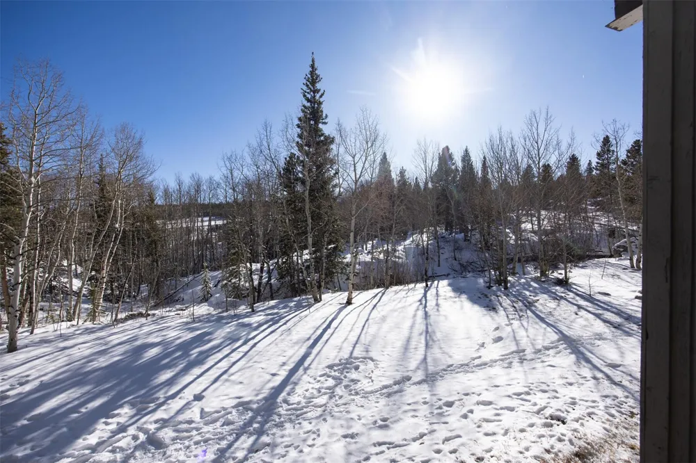 101 Ryan Gulch Court #103 Wildernest, CO 80498