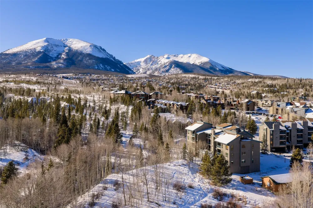 101 Ryan Gulch Court #103 Wildernest, CO 80498