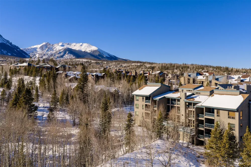 101 Ryan Gulch Court #103 Wildernest, CO 80498