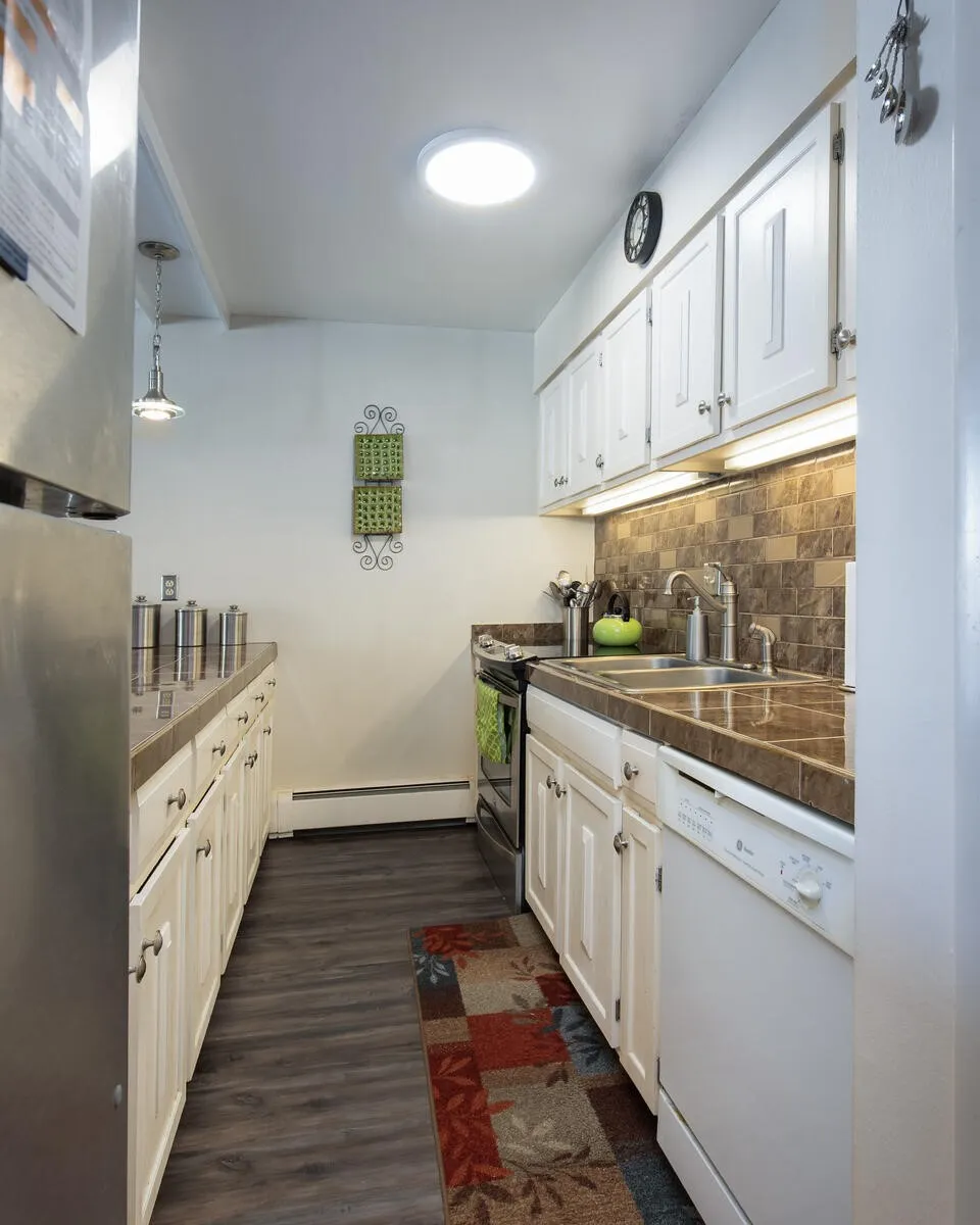 101 Ryan Gulch Court #103 Wildernest, CO 80498