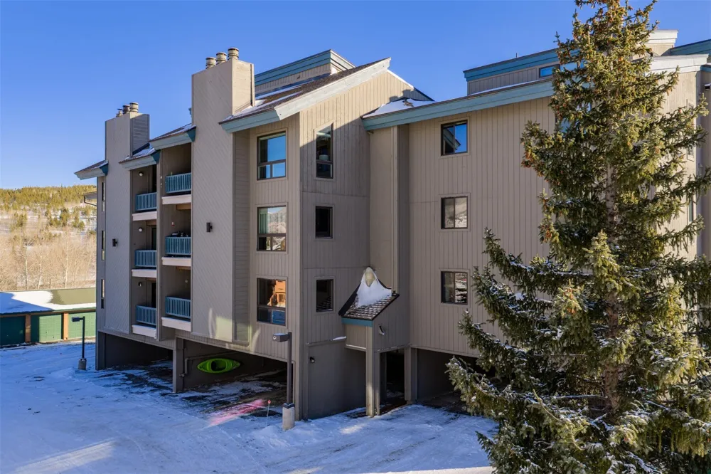 101 Ryan Gulch Court #103 Wildernest, CO 80498