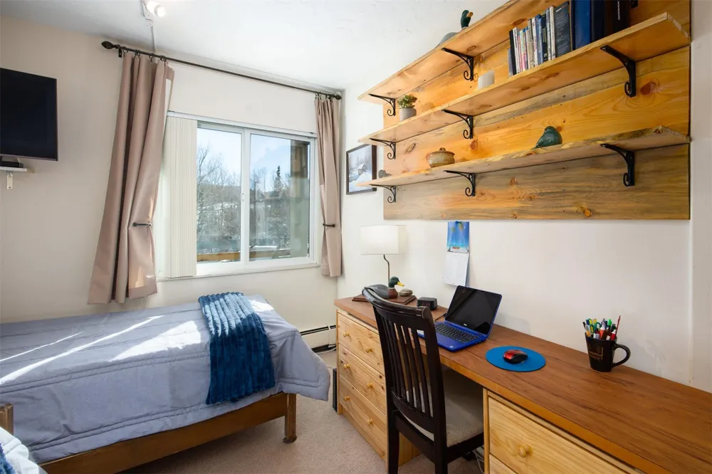 101 Ryan Gulch Court #103 Wildernest, CO 80498