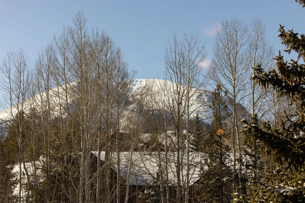 101 Ryan Gulch Court #103 Wildernest, CO 80498