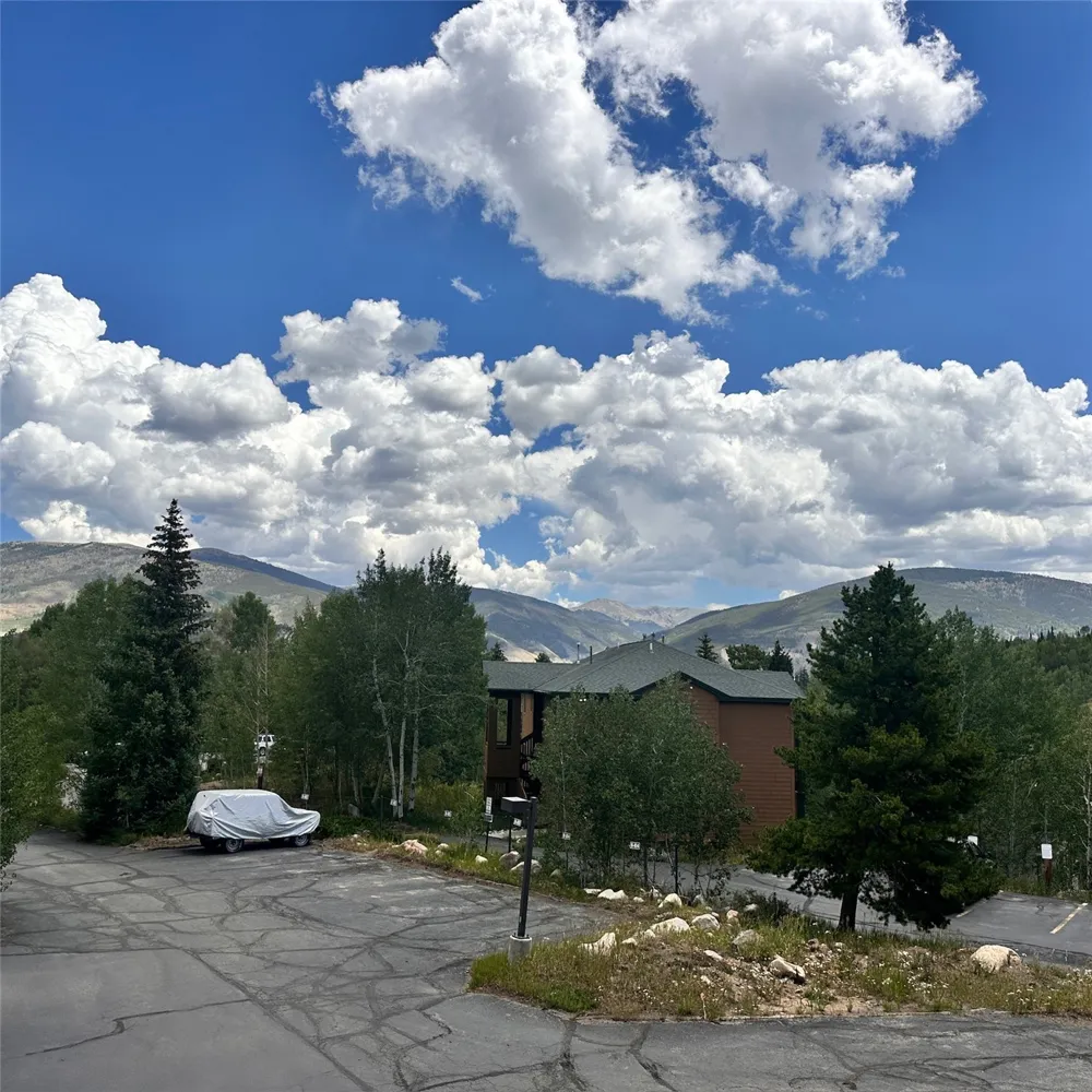 101 Ryan Gulch Court #103 Wildernest, CO 80498