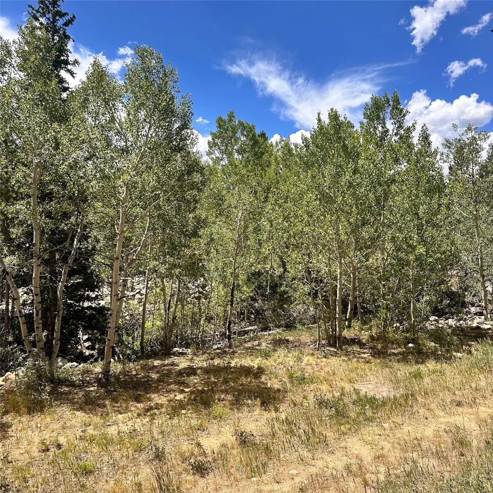 101 Ryan Gulch Court #103 Wildernest, CO 80498