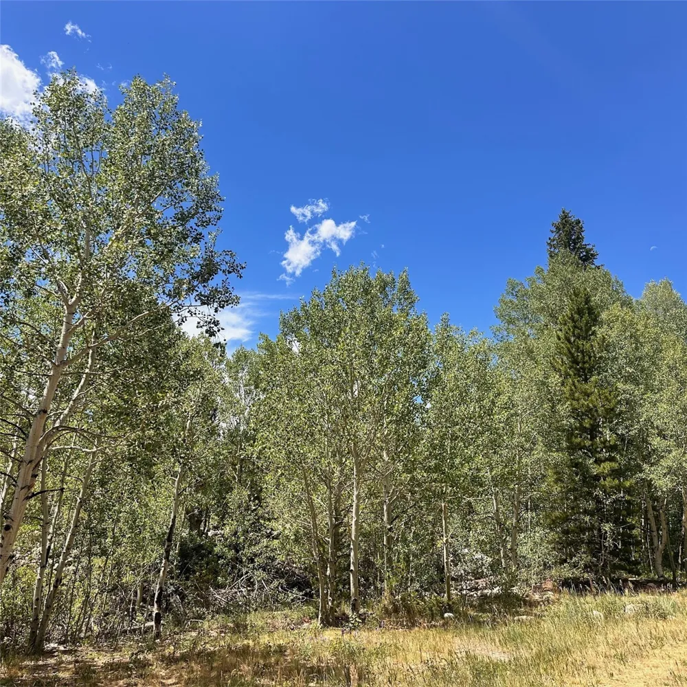 101 Ryan Gulch Court #103 Wildernest, CO 80498