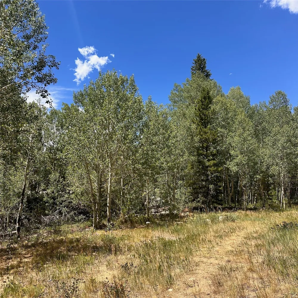 101 Ryan Gulch Court #103 Wildernest, CO 80498